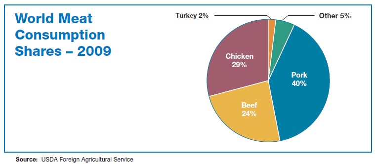 Worldwide meat consumption
